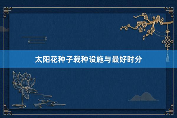 太阳花种子栽种设施与最好时分