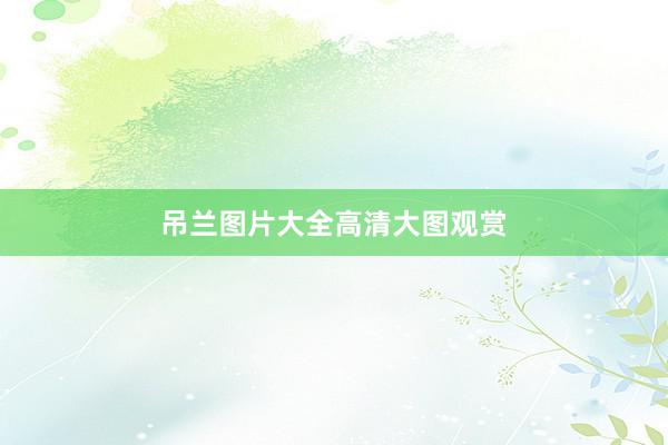 吊兰图片大全高清大图观赏
