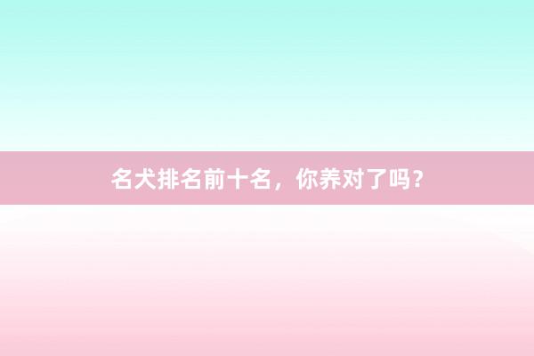名犬排名前十名，你养对了吗？