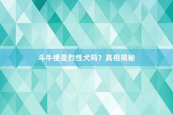 斗牛梗是烈性犬吗？真相揭秘