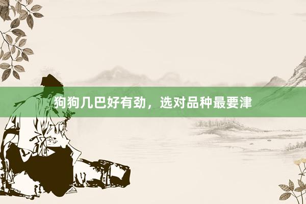狗狗几巴好有劲，选对品种最要津