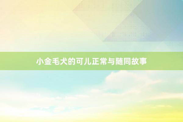 小金毛犬的可儿正常与随同故事